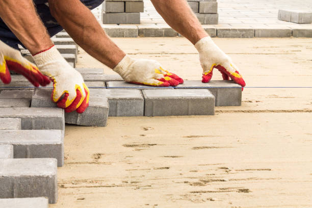 Best Driveway Pavers Near Me  in Anoka, MN